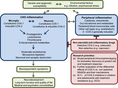 Commentary: Neurobiology and Therapeutic Potential of Cyclooxygenase-2 (COX-2) Inhibitors for Inflammation in Neuropsychiatric Disorders